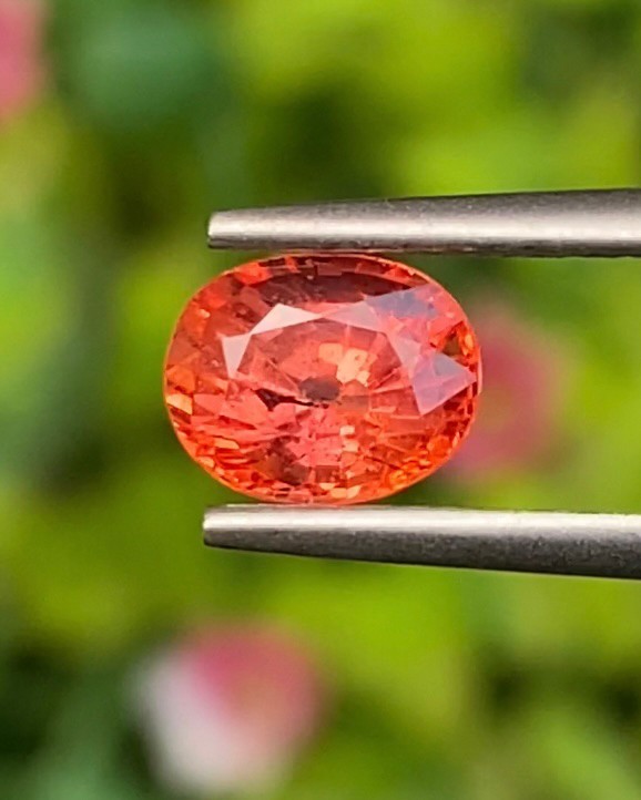 ออเรนจ์ แซฟไฟร์ Orange Sapphire