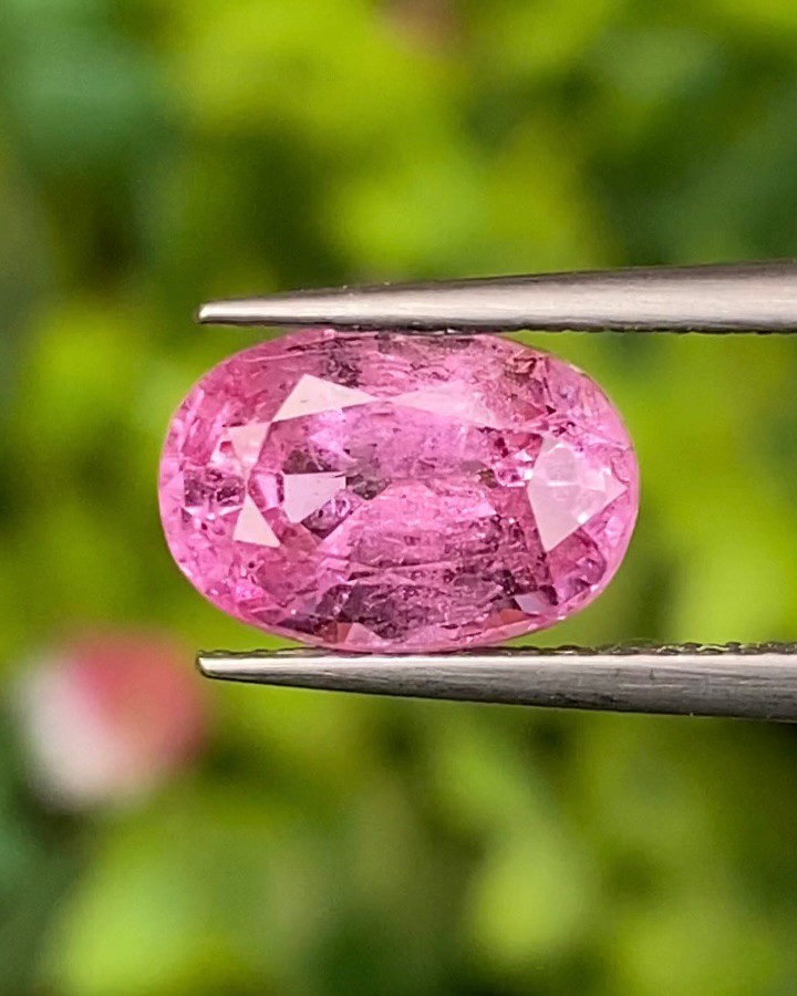 พลอย ชมพู พิ้ง แซฟไฟร์ Pink Sapphire