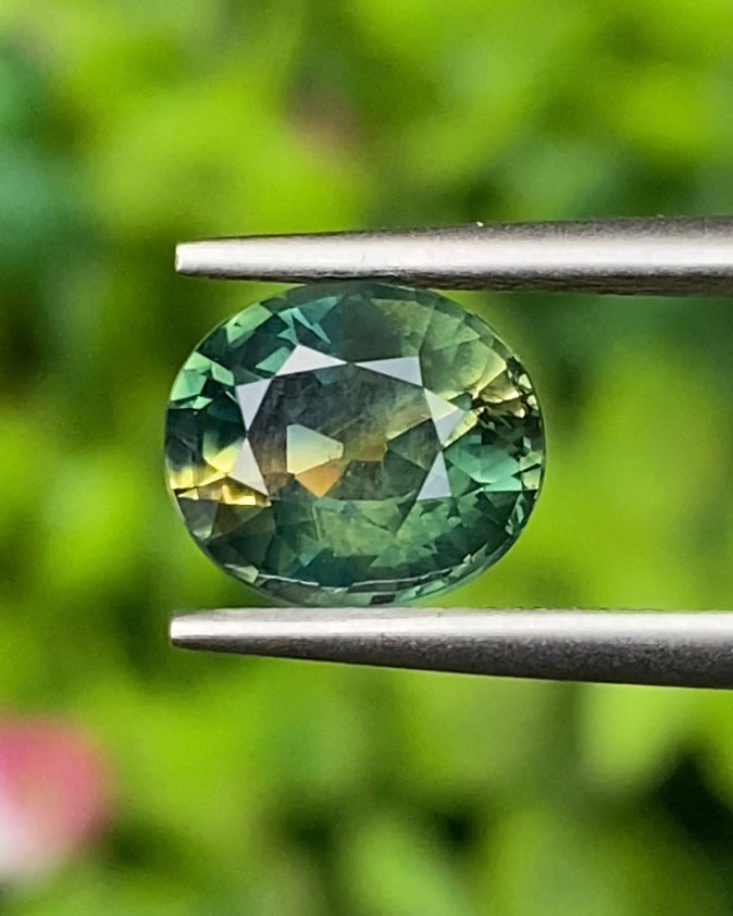 แซฟไฟร์ 2 สี Bi-Color Sapphire