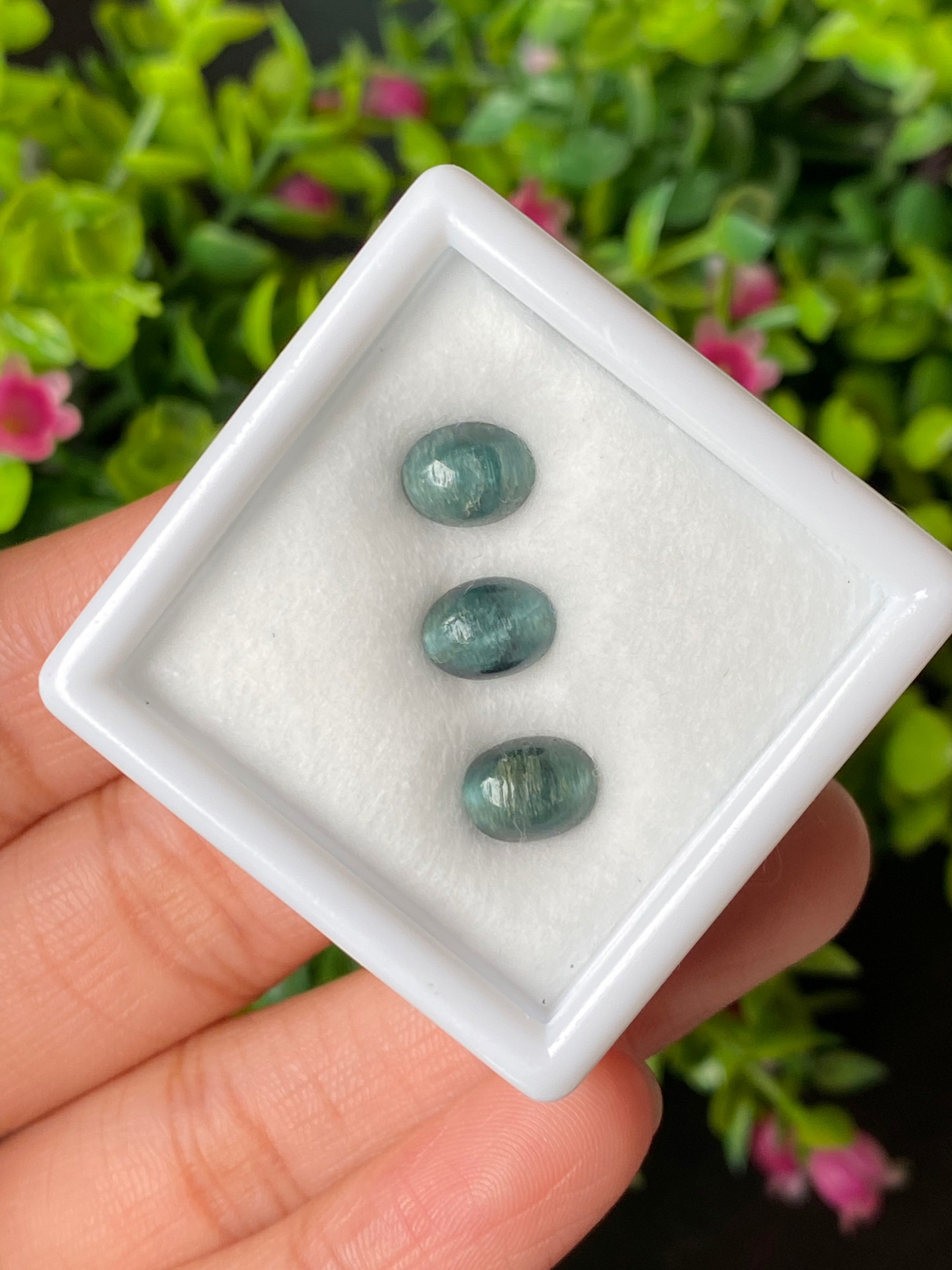 ตาแมว ทัวร์มาลีน Cat eye Tourmaline