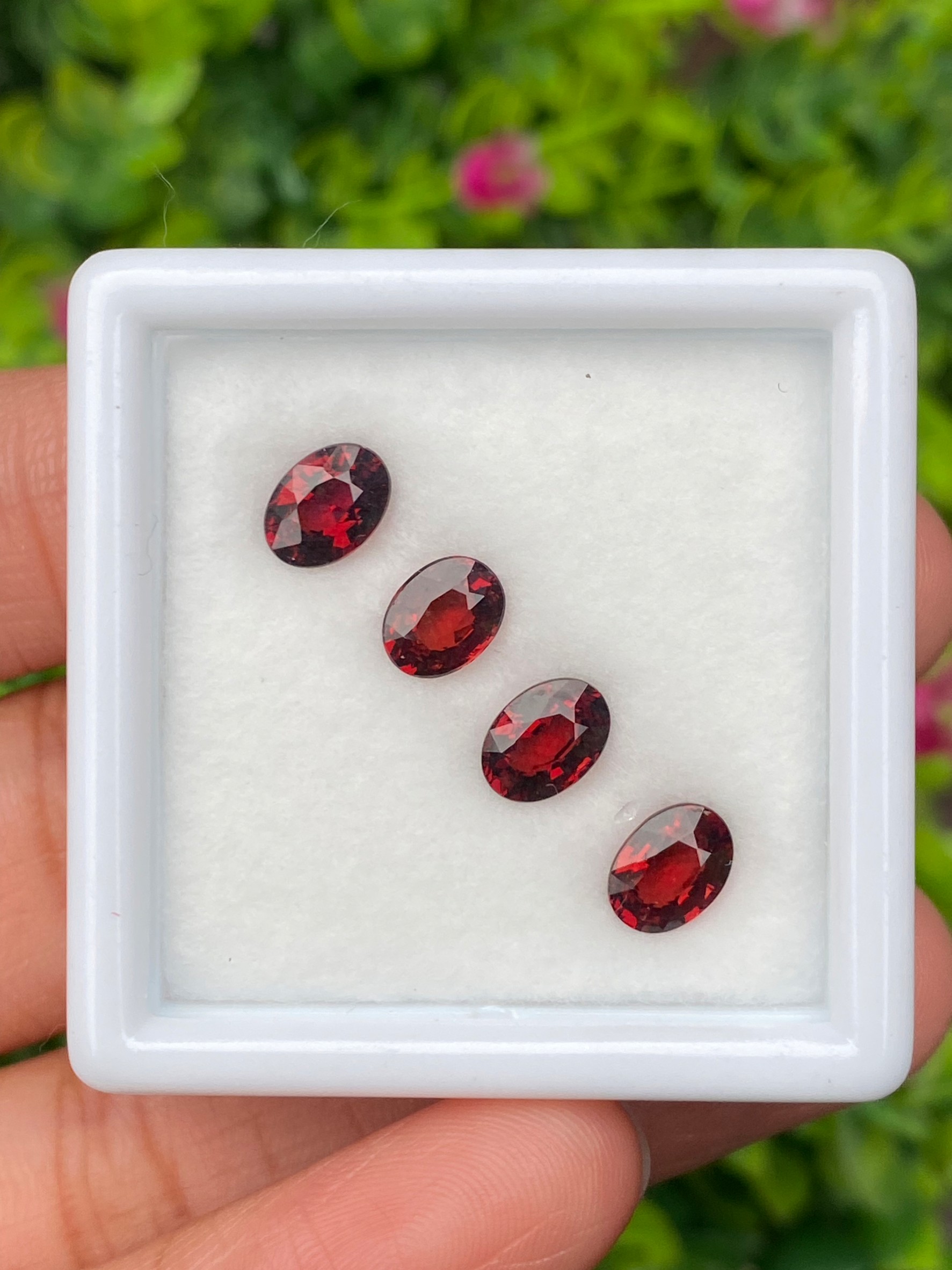 โรโดไลต์ กาเน็ท Natural Rhodolite Garnet