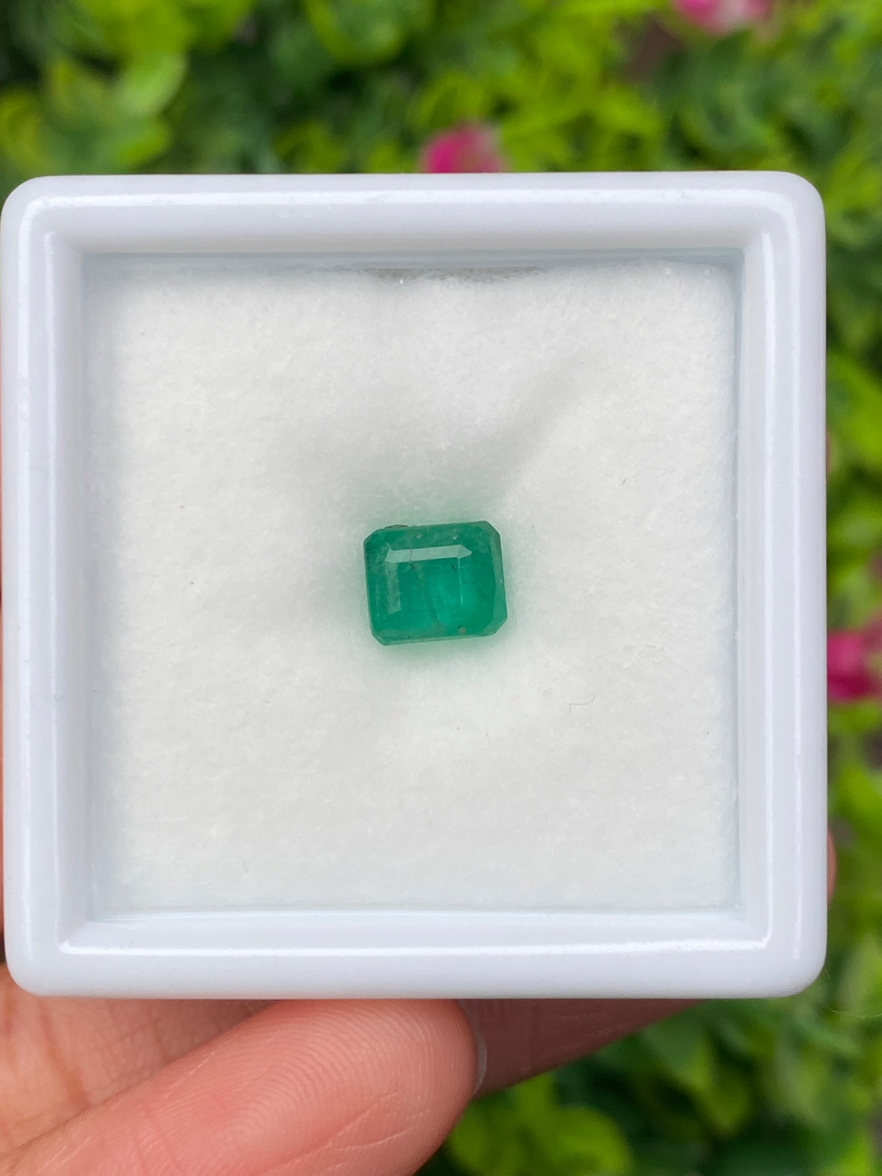 พลอย มรกต Natural Emerald