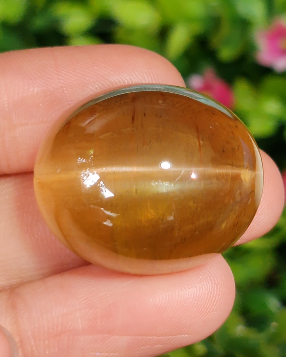ตาแมว อะพาไทต์ Cat eye Apatite