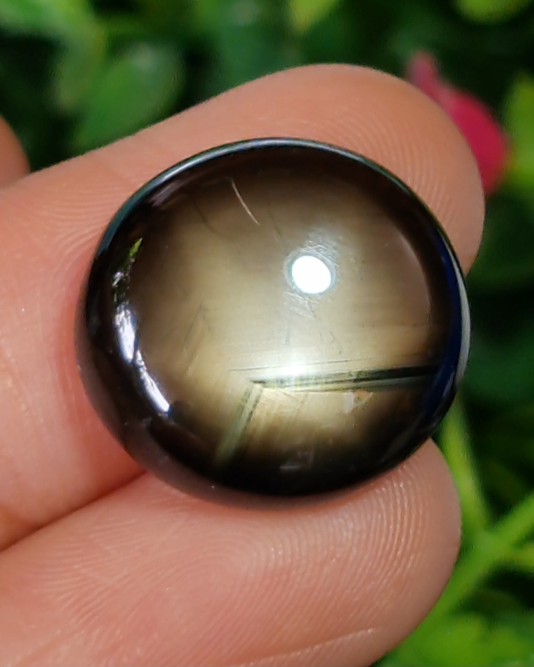 แบล็ค สตาร์ แซฟไฟร์ Natural Star Sapphire