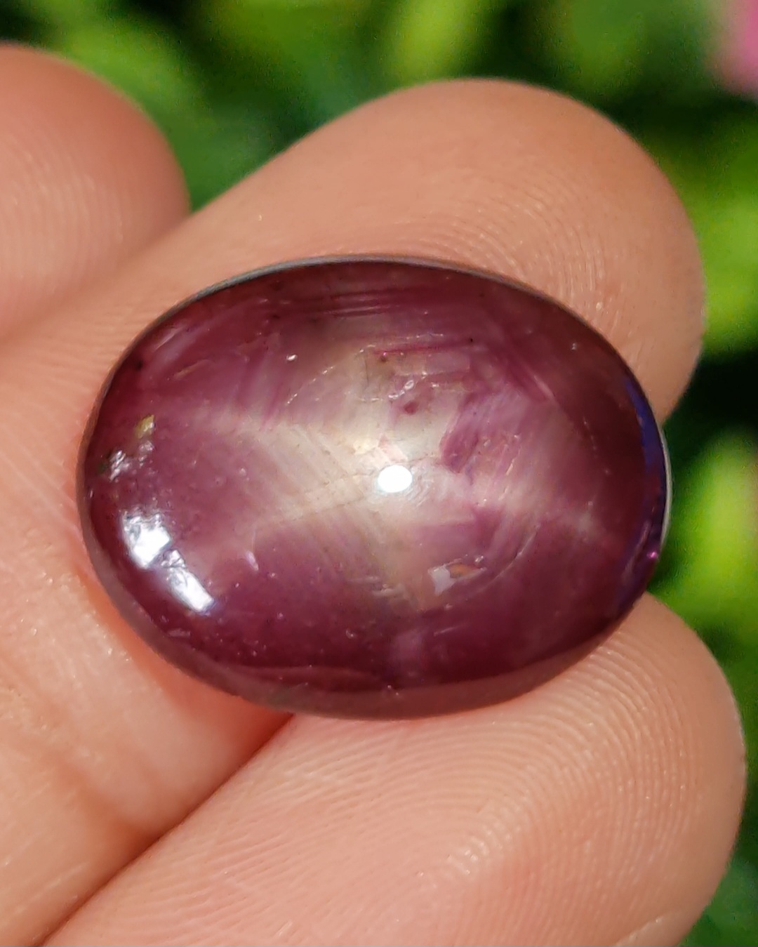 สตาร์ แซฟไฟร์ Star Sapphire