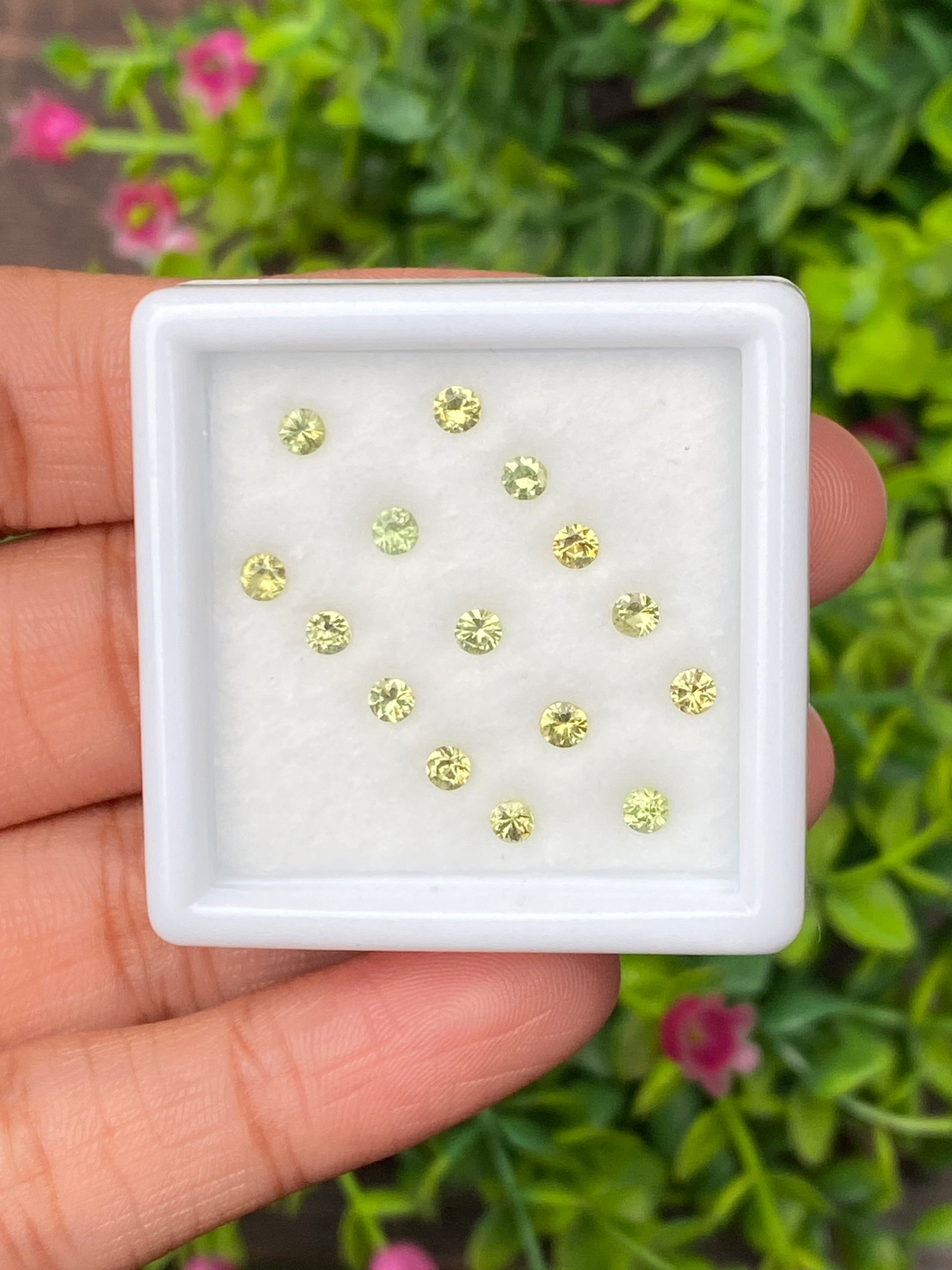 ดีแมนทรอยด์ การ์เน็ต Demantoid Garnet