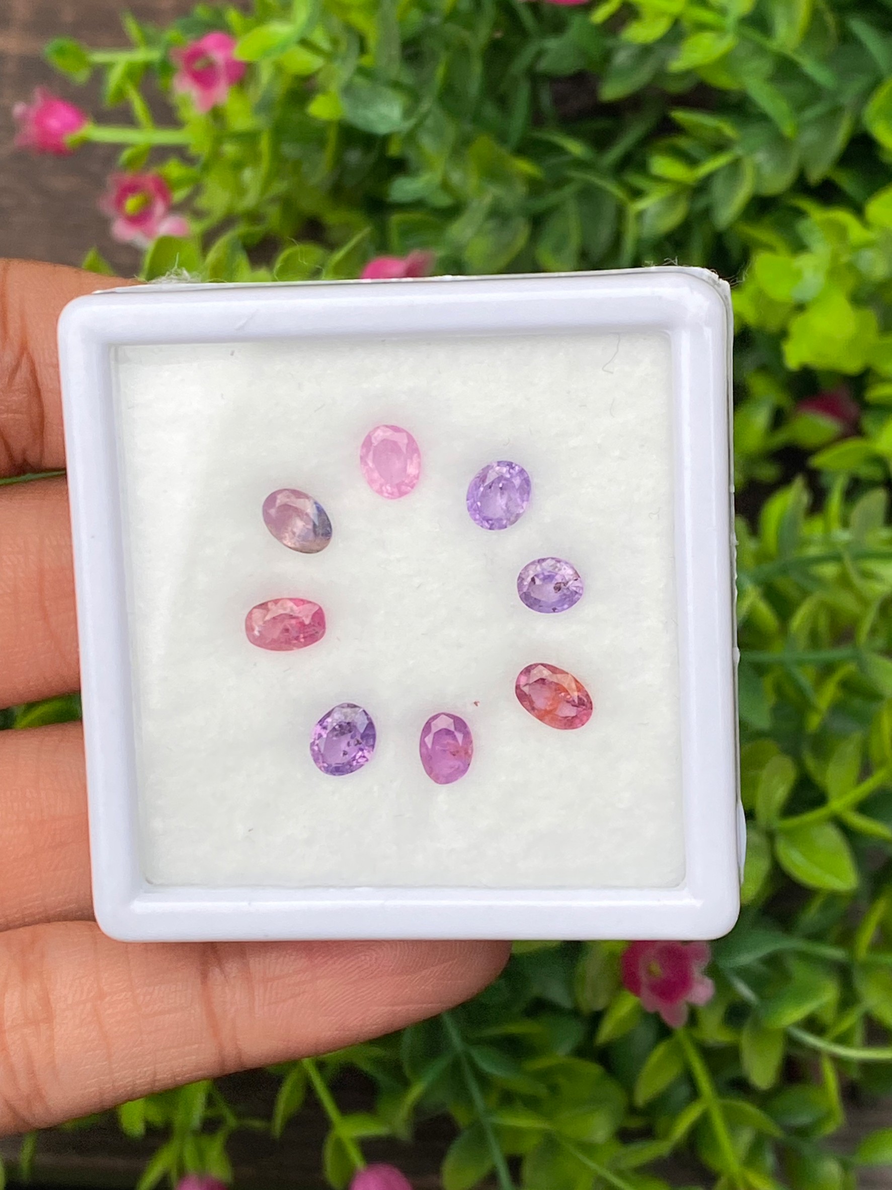 แซฟไฟร์ Sapphire