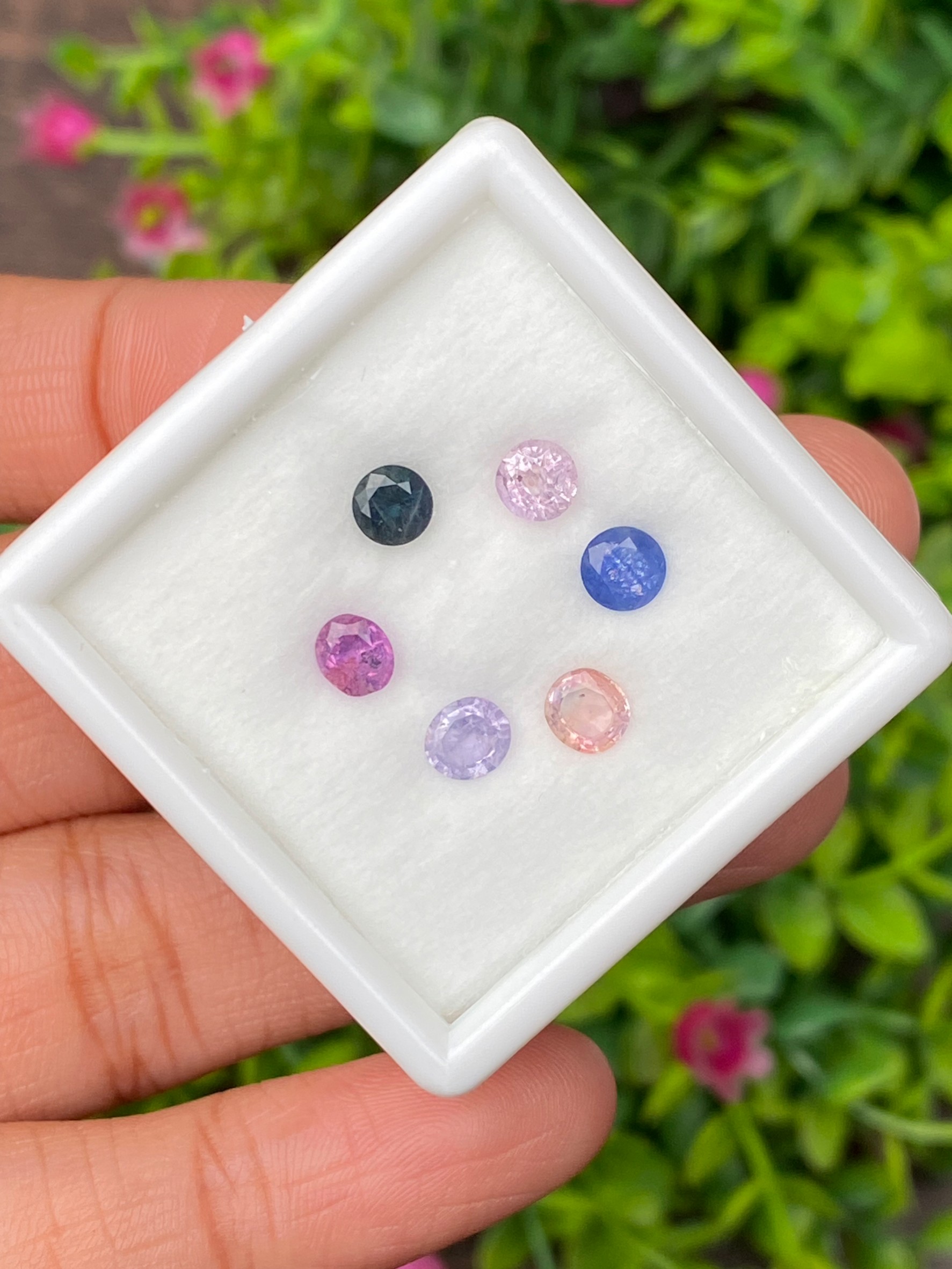 แซฟไฟร์ Sapphire