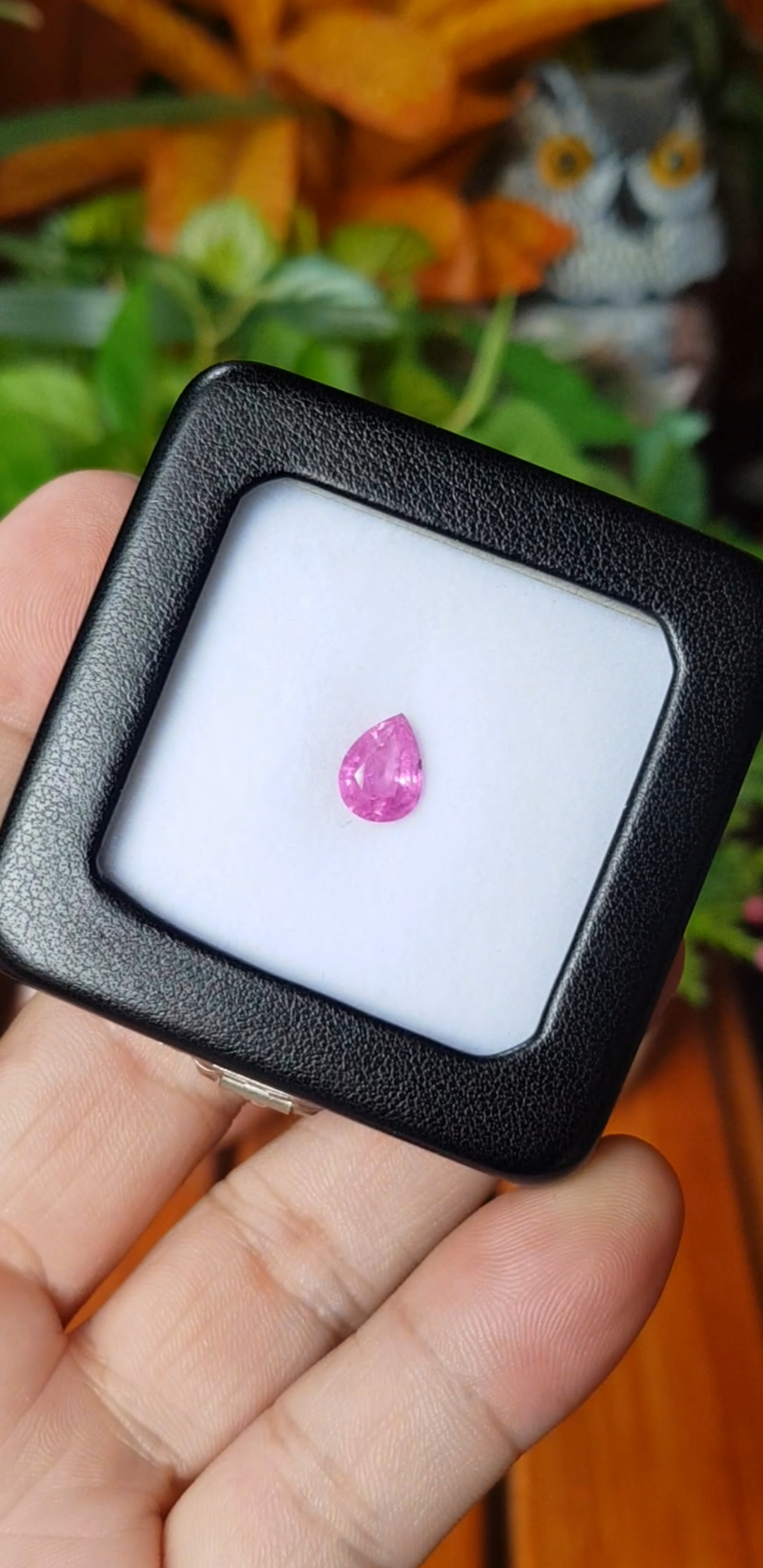 พลอย ชมพู พิ้ง แซฟไฟร์ Pink Sapphire