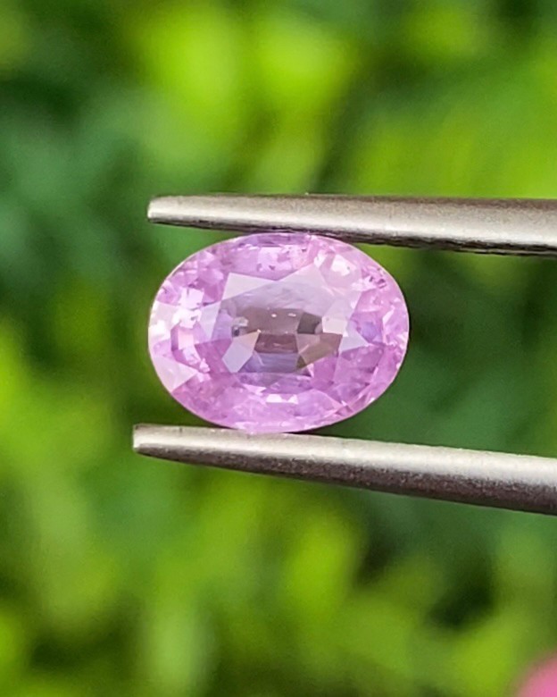 พลอย ชมพู พิ้ง แซฟไฟร์ Pink Sapphire