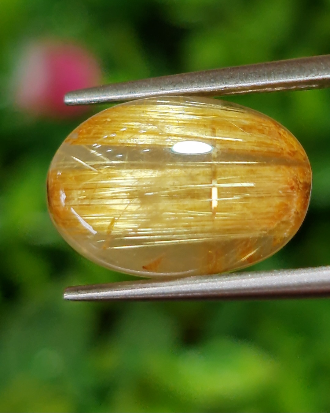 ตาแมว ไหมทอง ควอตซ์ Cat eye Golden Rutilated Quartz