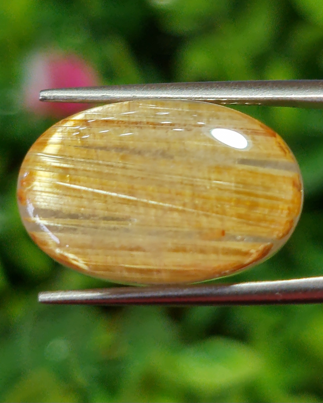 ตาแมว ไหมทอง ควอตซ์ Cat eye Golden Rutilated Quartz