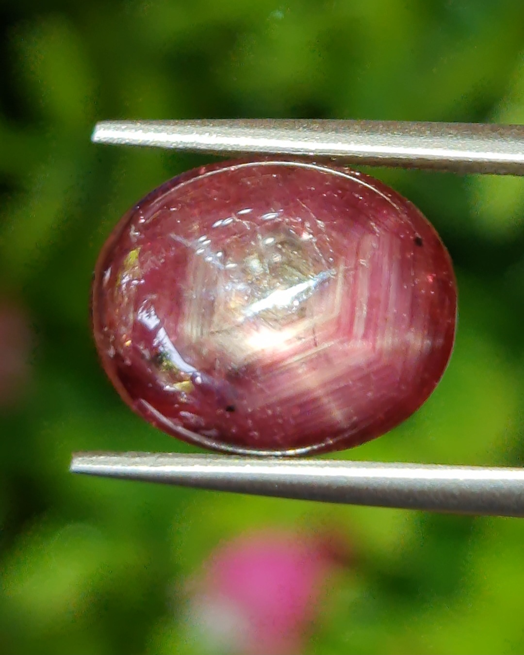 สตาร์ แซฟไฟร์ Star Sapphire
