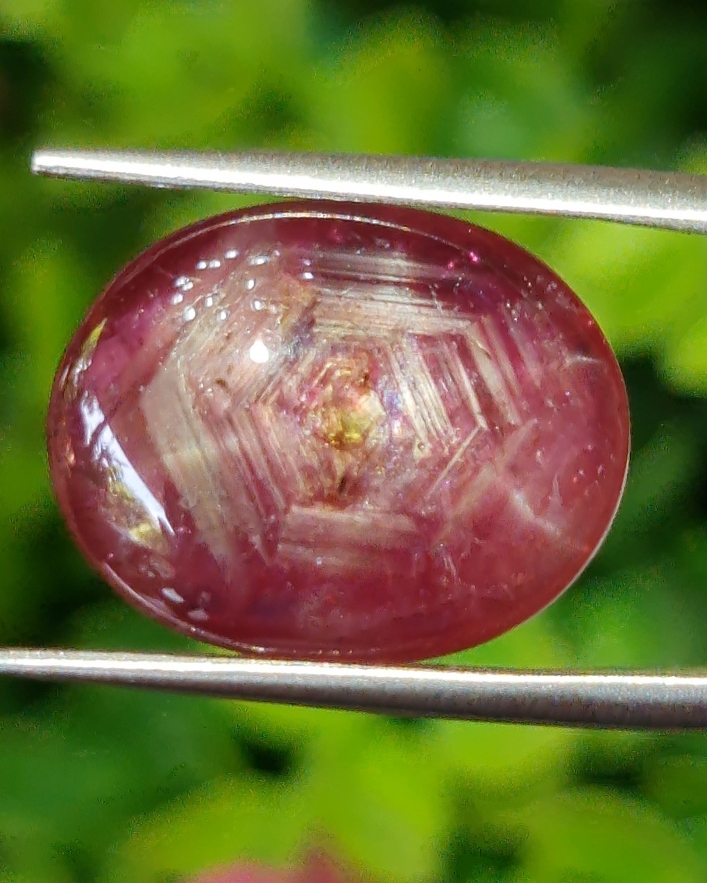 สตาร์ แซฟไฟร์ Star Sapphire