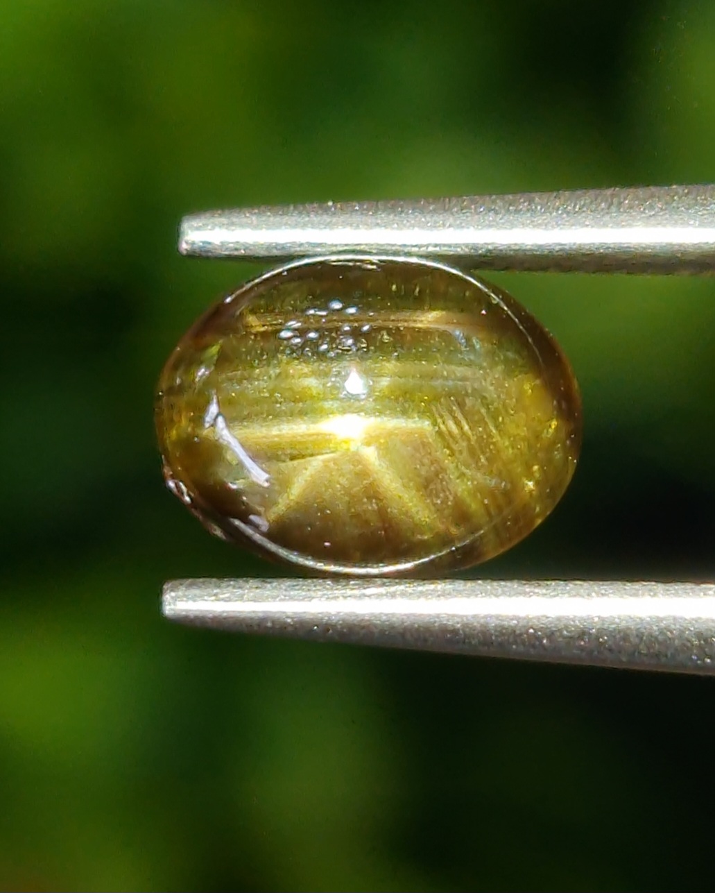 โกลเด้น สตาร์ แซฟไฟร์ Golden Star Sapphire