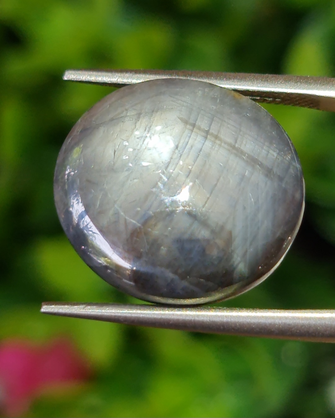แบล็ค สตาร์ แซฟไฟร์ Natural Star Sapphire
