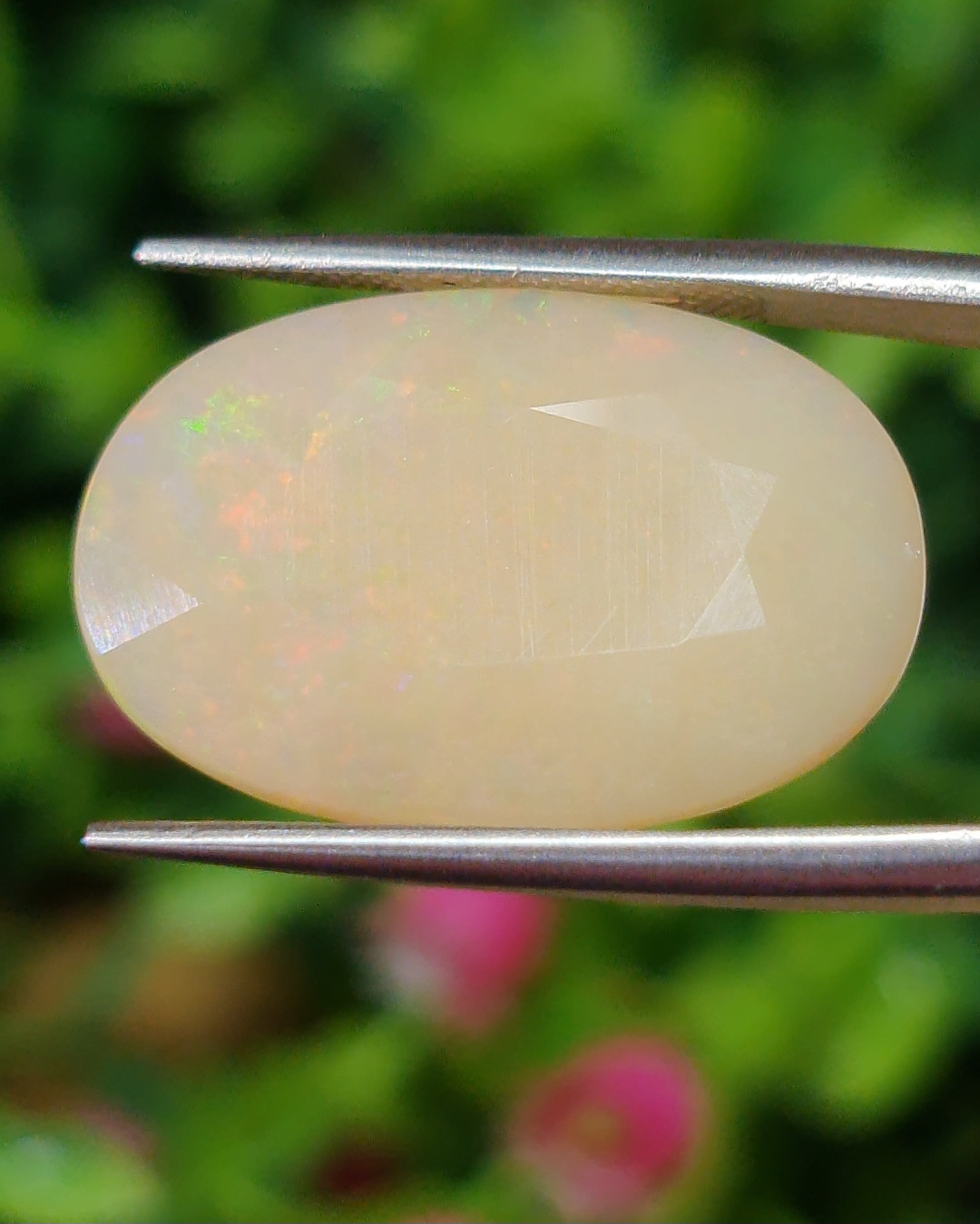 พลอย โอปอล Opal