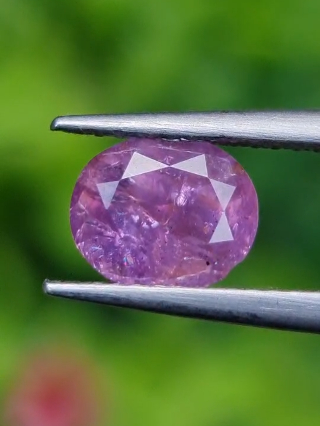 พลอย ม่วง Purple sapphire