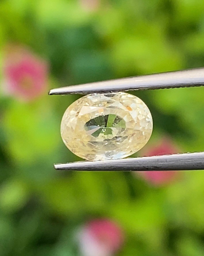 บุษราคัม Natural Yellow Sapphire
