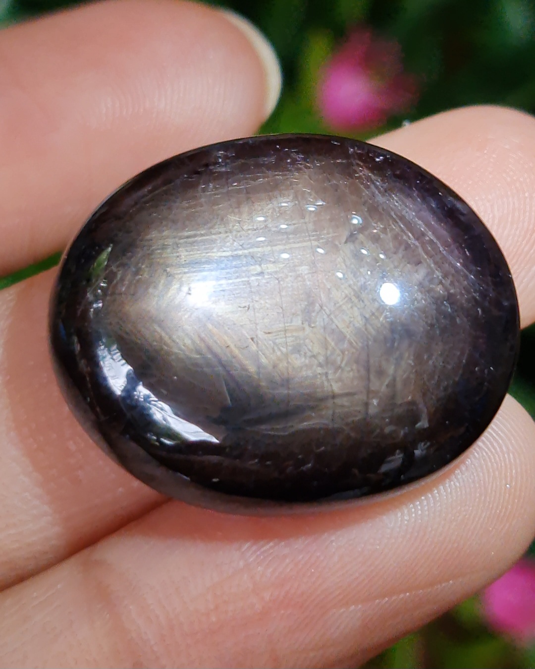 แบล็ค สตาร์ แซฟไฟร์ Natural Star Sapphire