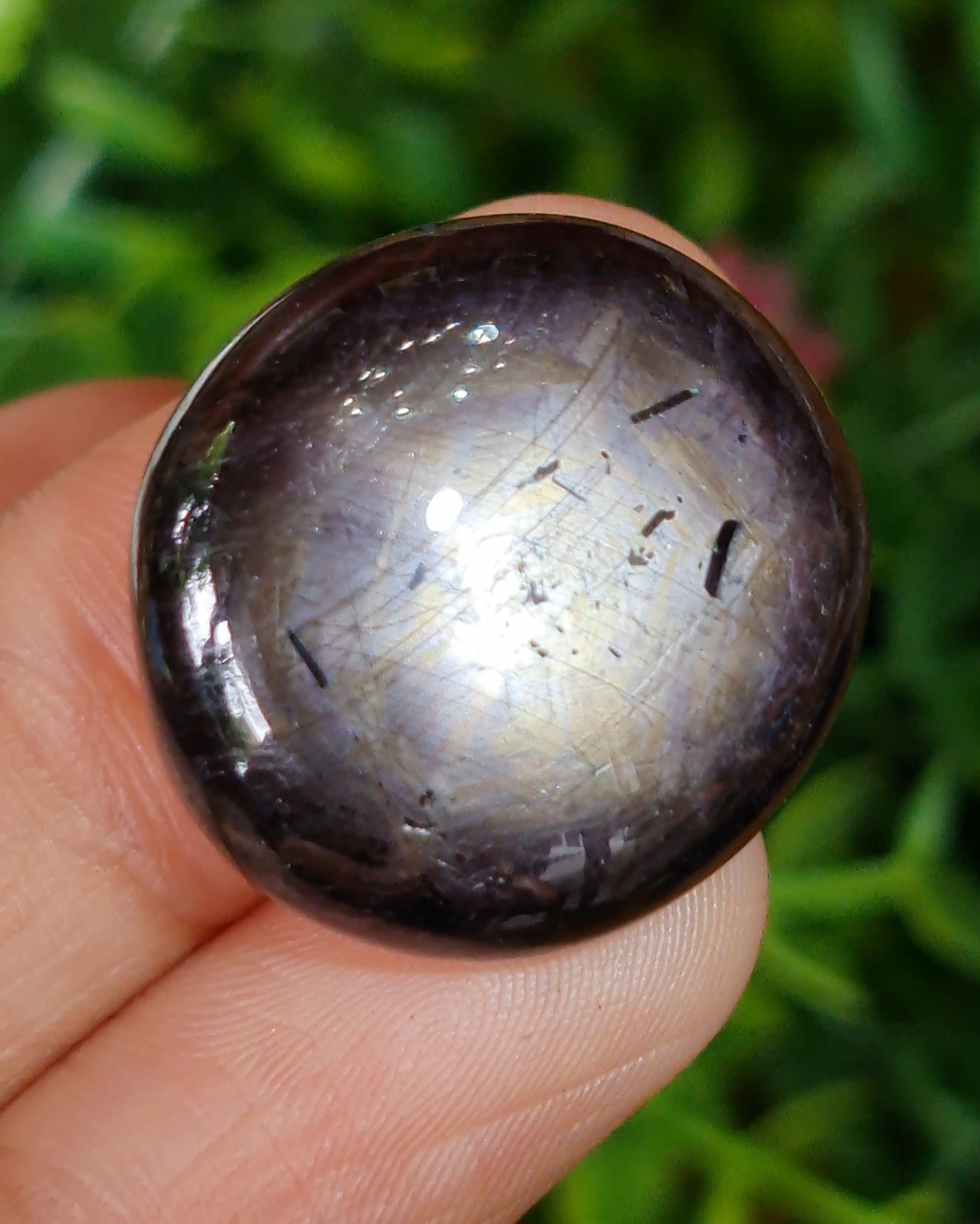 แบล็ค สตาร์ แซฟไฟร์ Natural Star Sapphire
