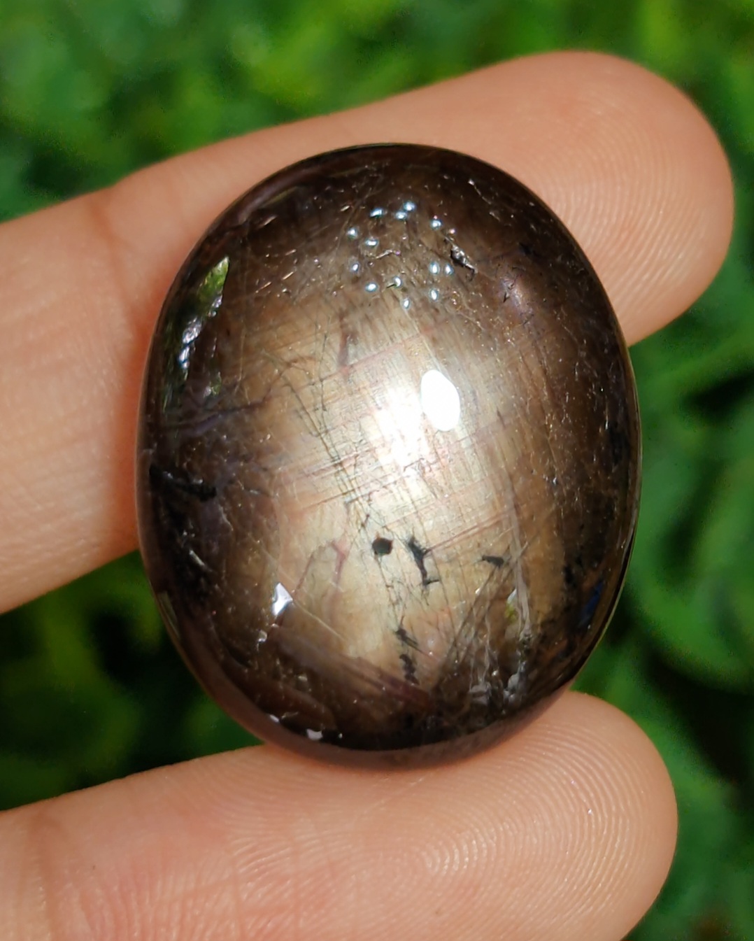 แบล็ค สตาร์ แซฟไฟร์ Natural Star Sapphire