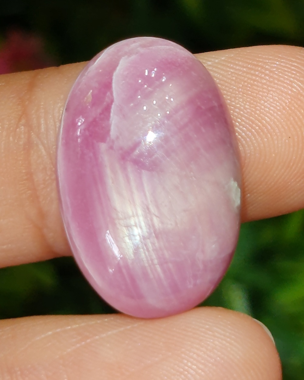 สตาร์ แซฟไฟร์ Star Sapphire