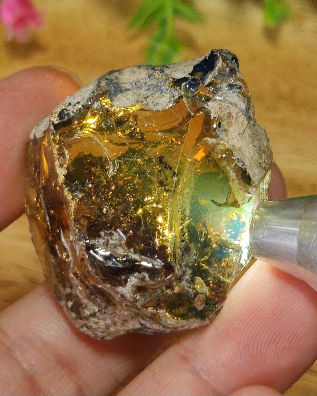 พลอย โอปอล Opal