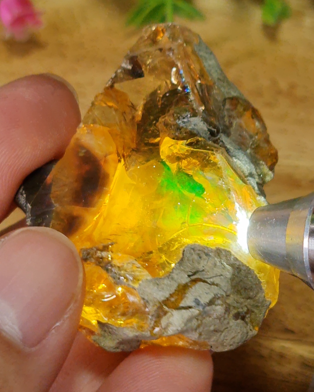 พลอย โอปอล Opal