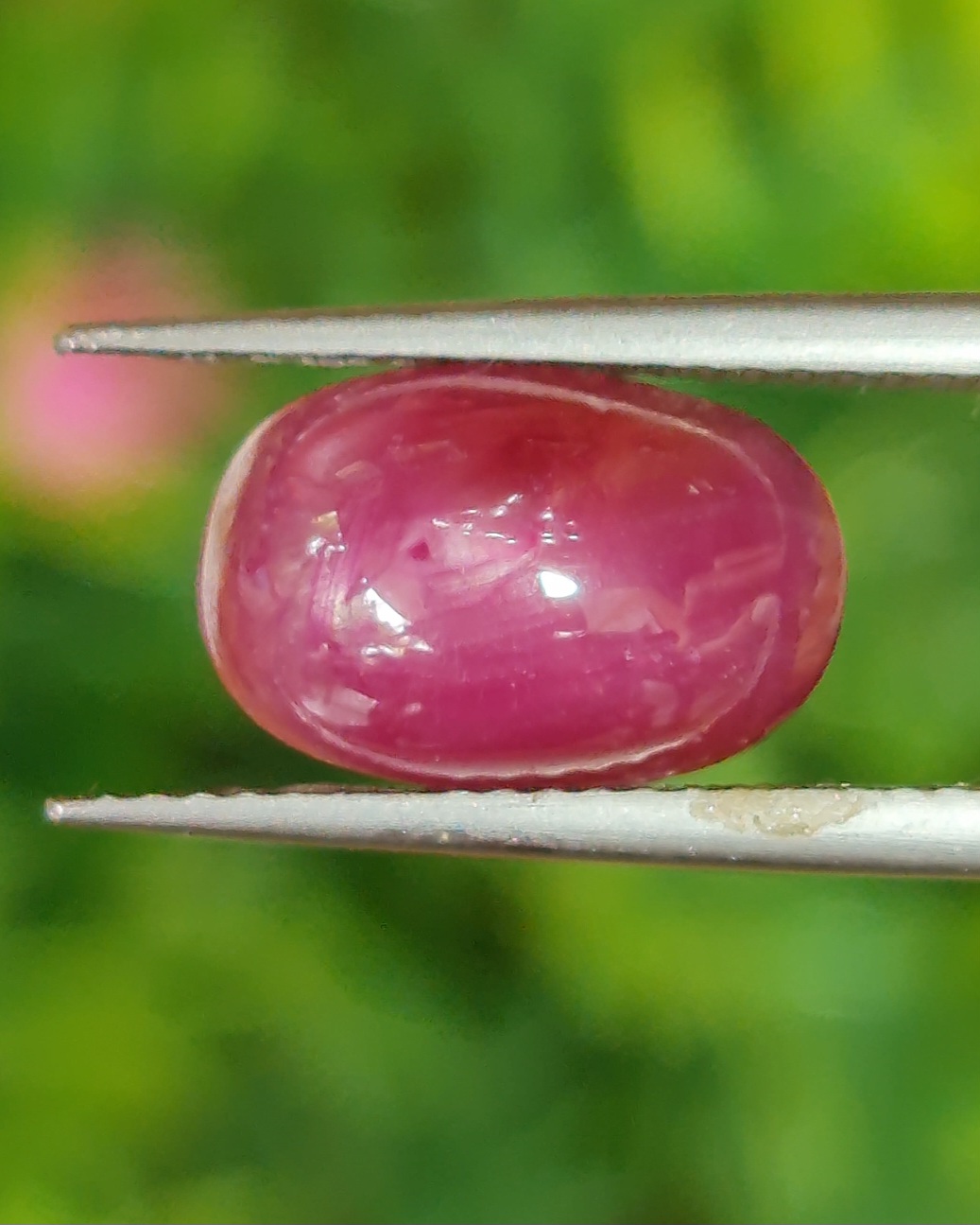 สตาร์ แซฟไฟร์ Star Sapphire