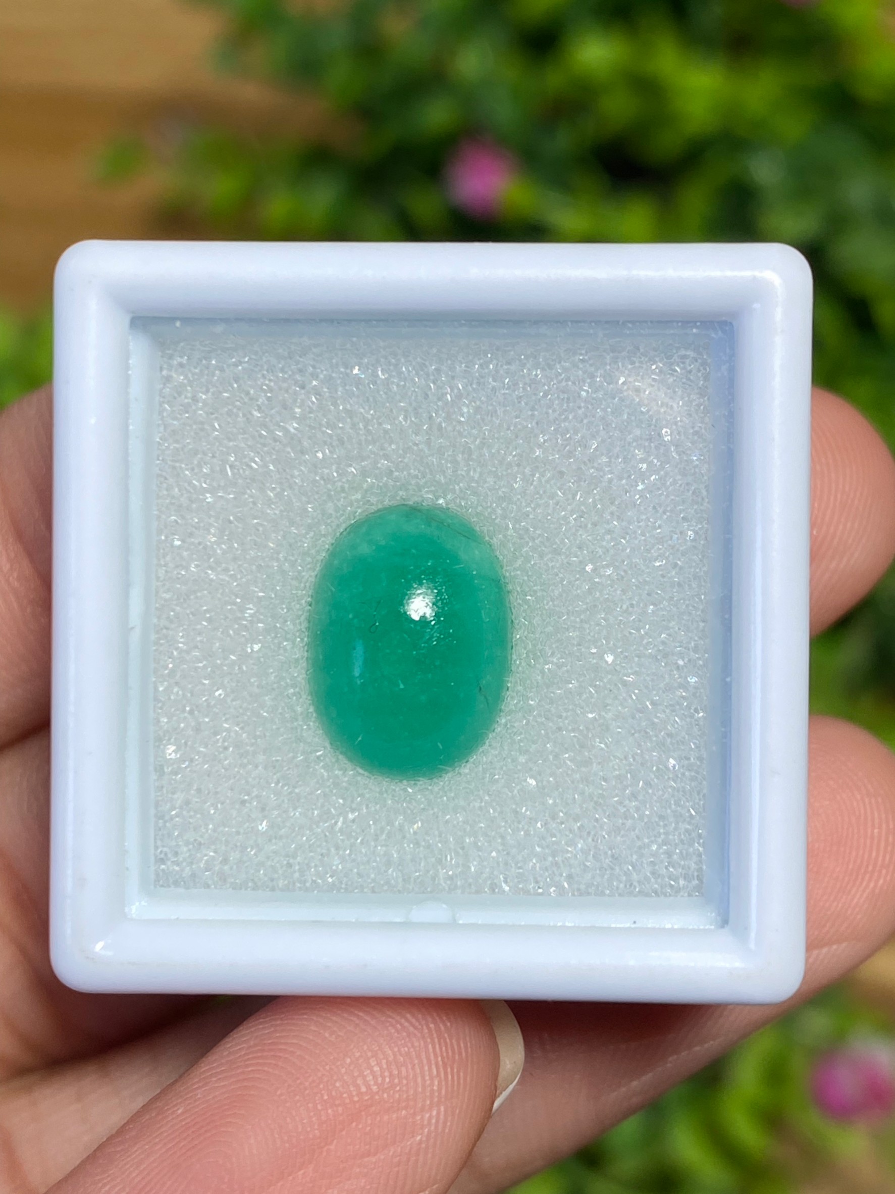 พลอย มรกต Natural Emerald
