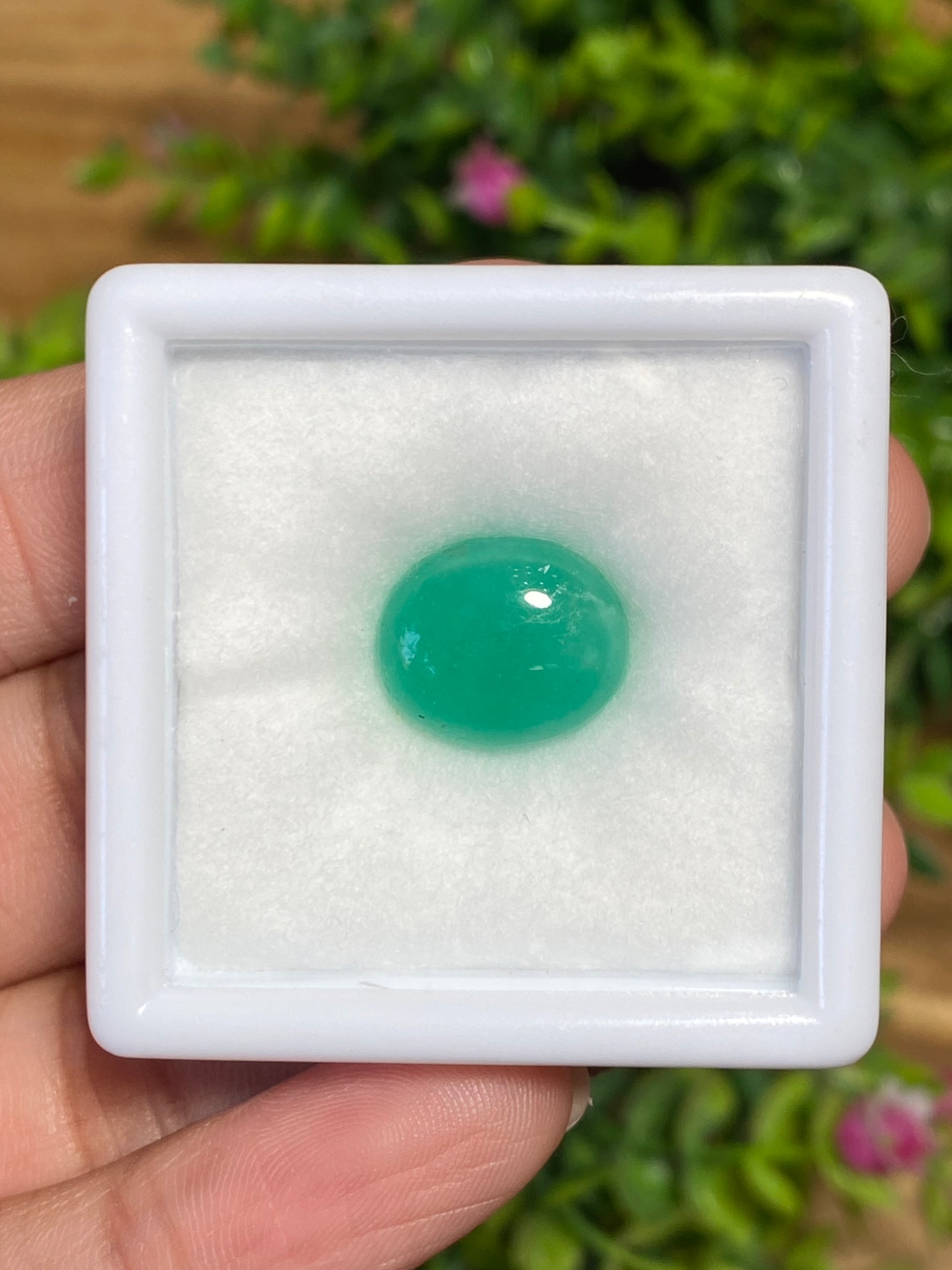 พลอย มรกต Natural Emerald