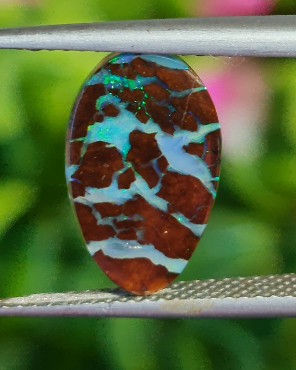 พลอย โอปอล Opal