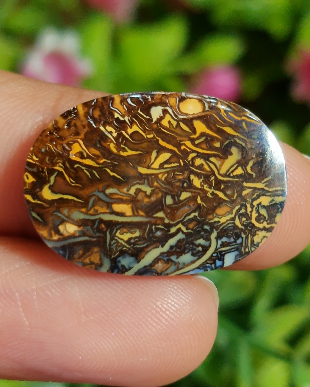 พลอย โอปอล Opal