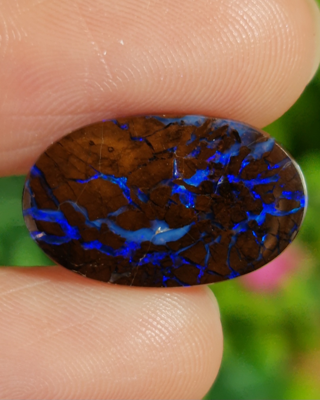 พลอย โอปอล Opal