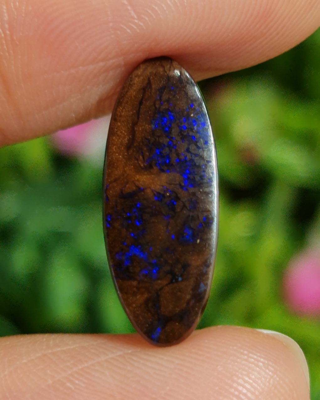 พลอย โอปอล Opal
