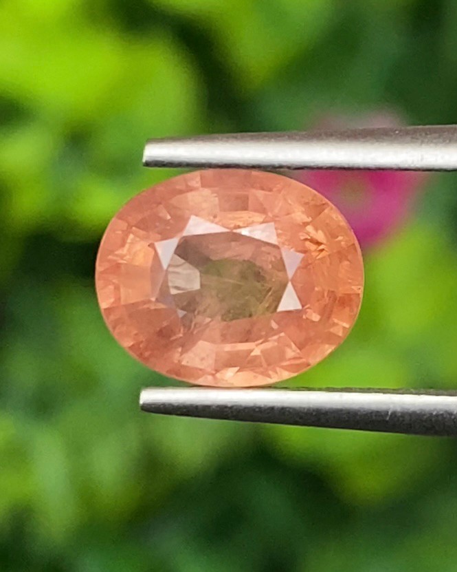 พัดพารัดชา Padparadscha Sapphire