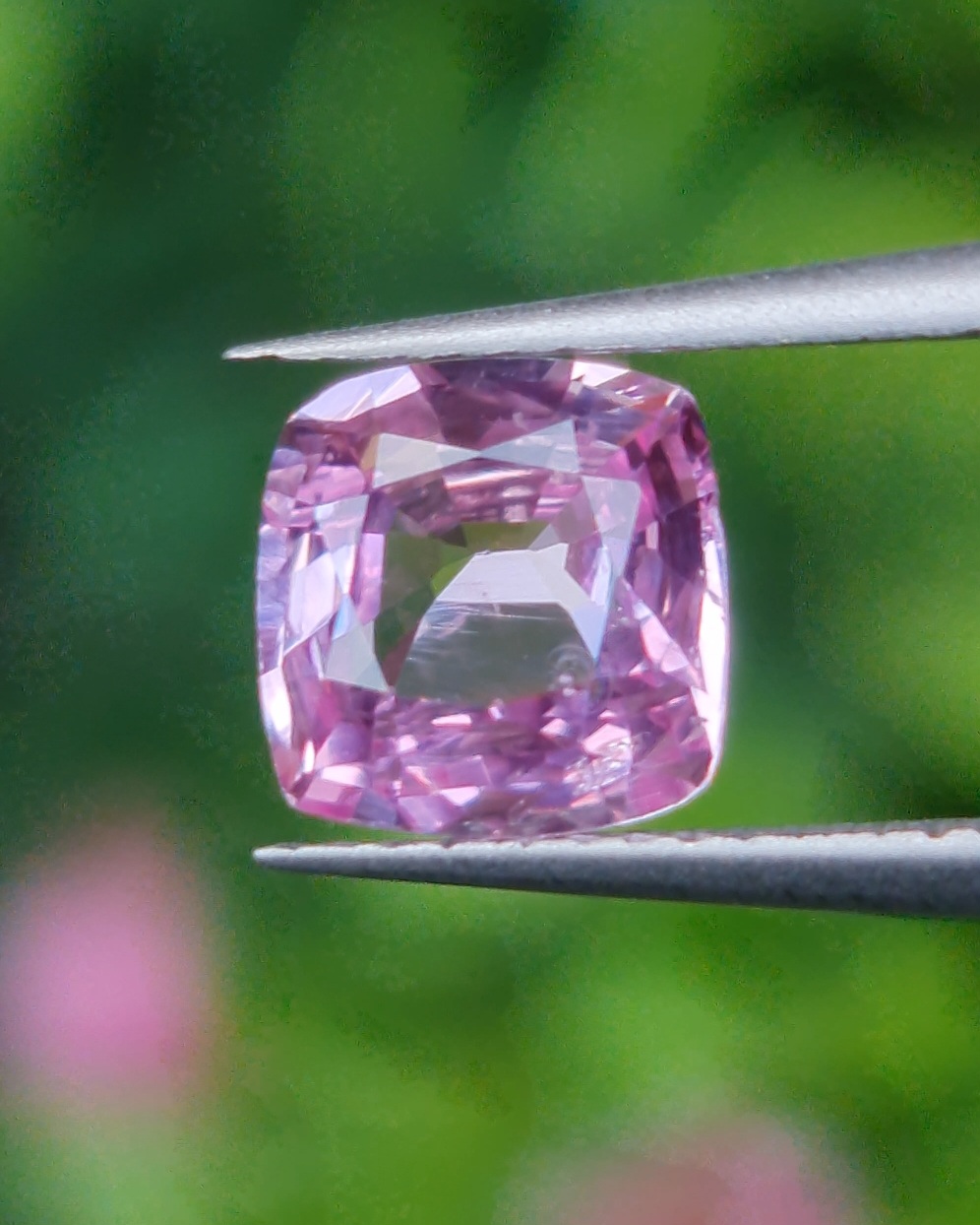 พลอย ชมพู พิ้ง แซฟไฟร์ Pink Sapphire