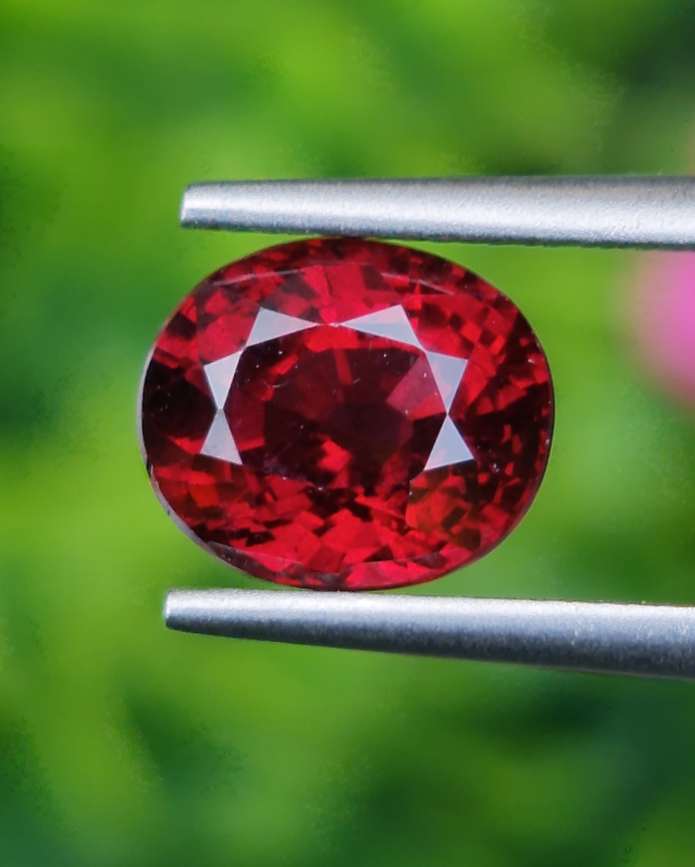 โรโดไลต์ กาเน็ท Natural Rhodolite Garnet