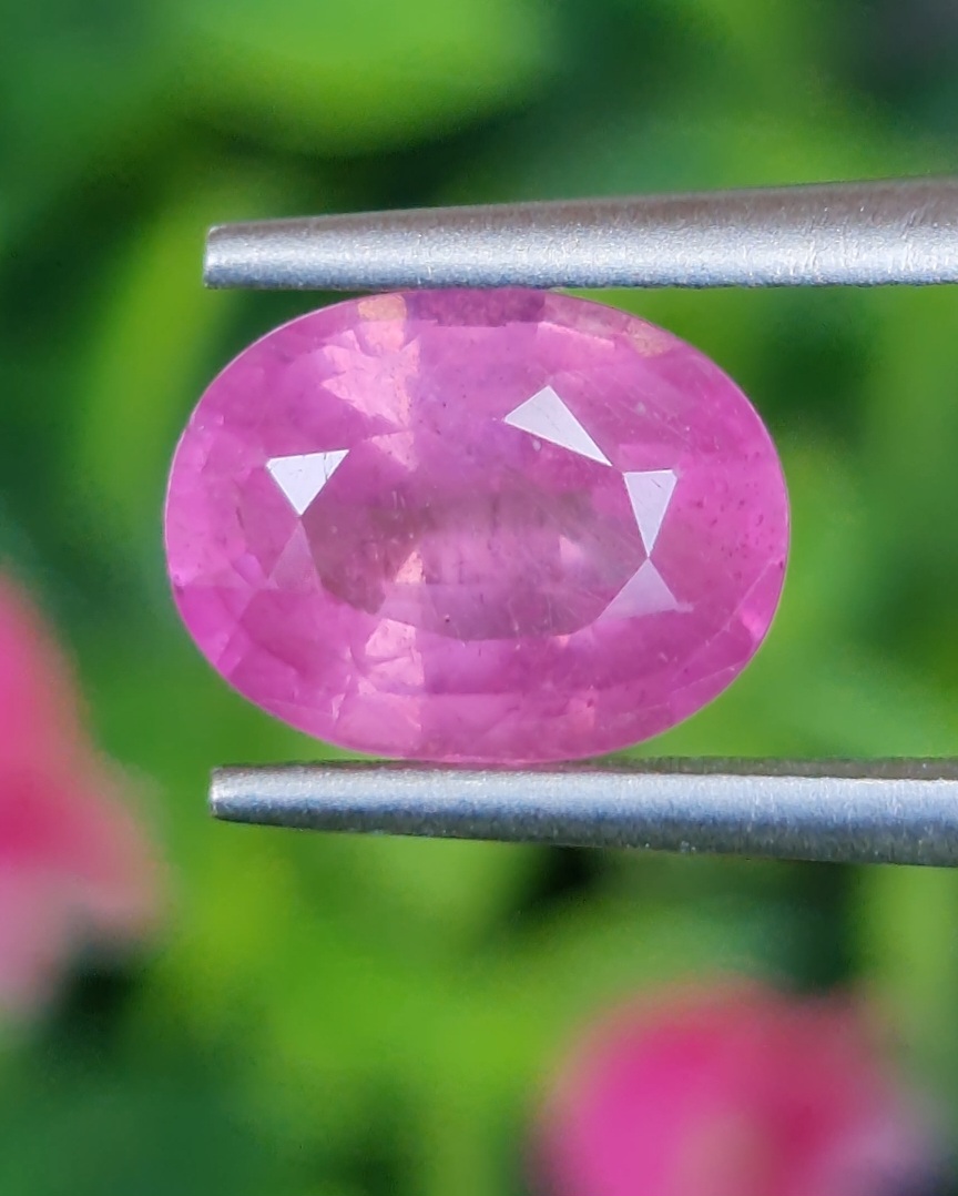 พลอย ชมพู พิ้ง แซฟไฟร์ Pink Sapphire