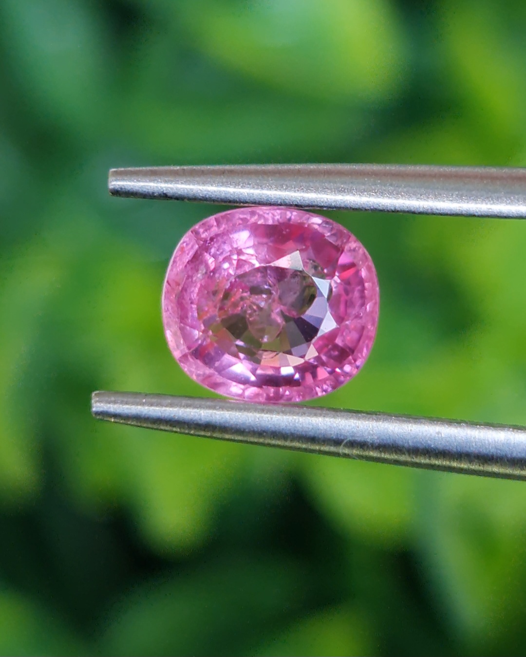 พลอย ชมพู Pink sapphire