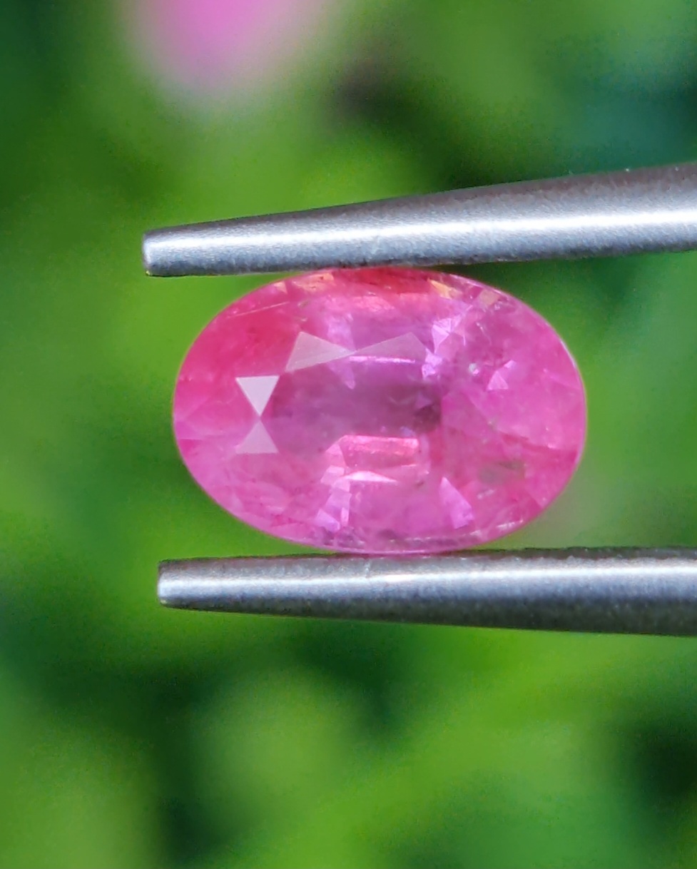 พลอย ชมพู พิ้ง แซฟไฟร์ Pink Sapphire