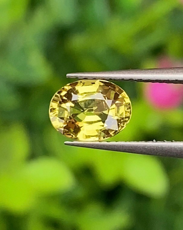 บุษราคัม Yellow Sapphire