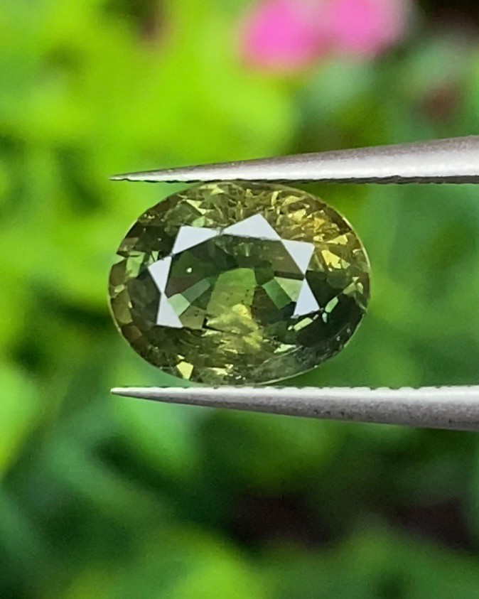พลอย เขียวส่อง Green sapphire