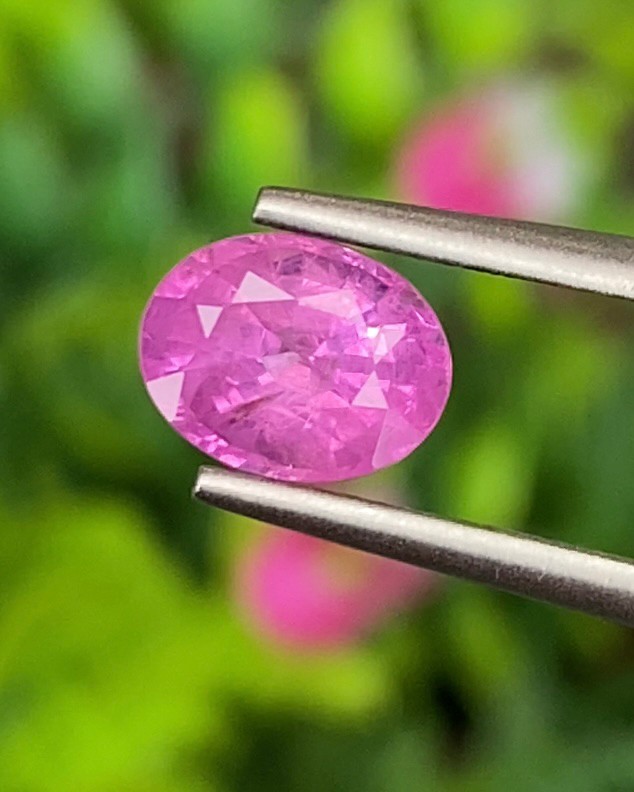 พลอย ชมพู พิ้ง แซฟไฟร์ Pink Sapphire