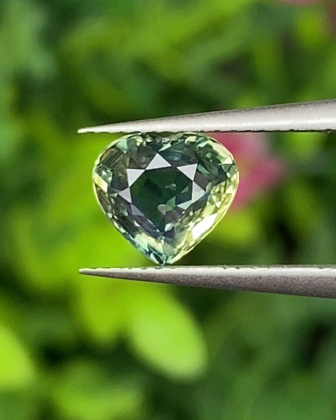 แซฟไฟร์ 2 สี Bi-Color Sapphire