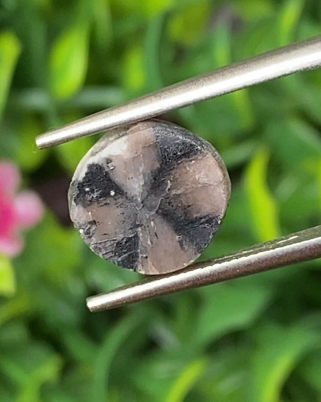ไคแอสโทไลต์ Chiastolite
