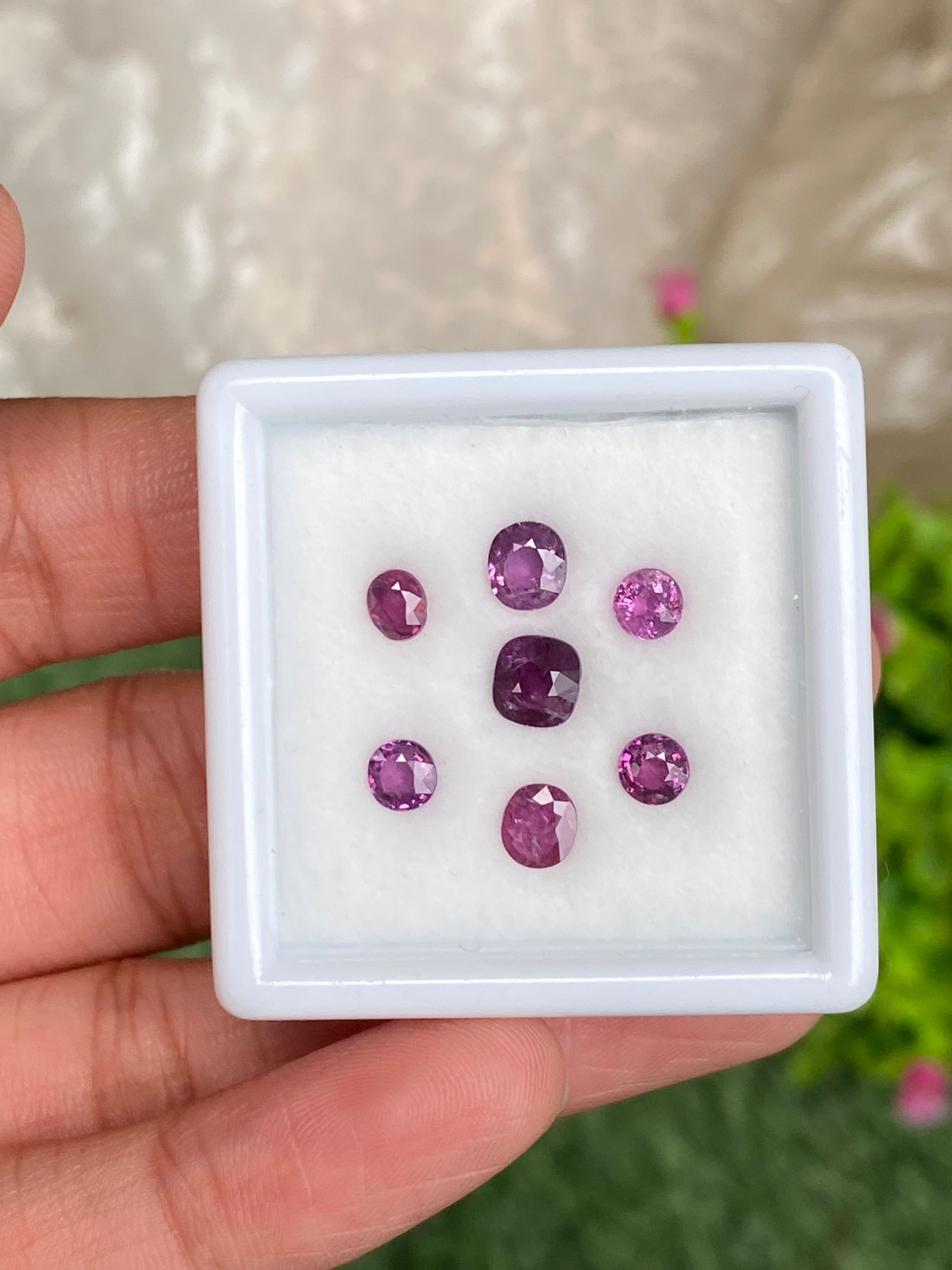 พลอย ทับทิม Ruby sapphire