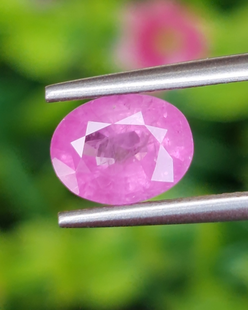 พลอย ชมพู พิ้ง แซฟไฟร์ Pink Sapphire