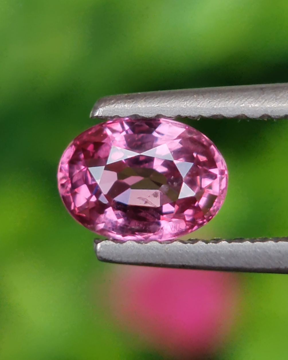 พลอย ชมพู Pink sapphire